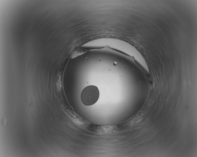 X0000062910479200601271744