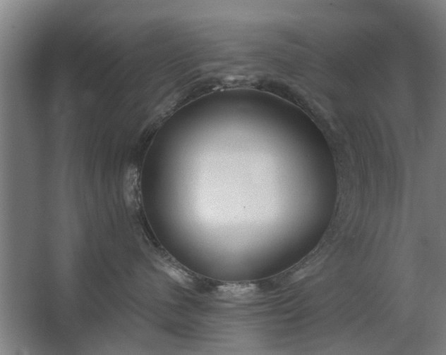 X0000062910480200601271744