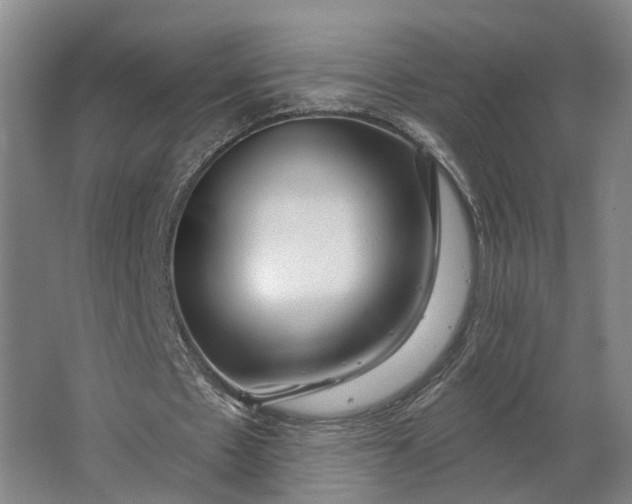 X0000062910481200601271743