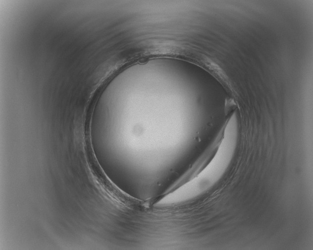 X0000062910482200601271743