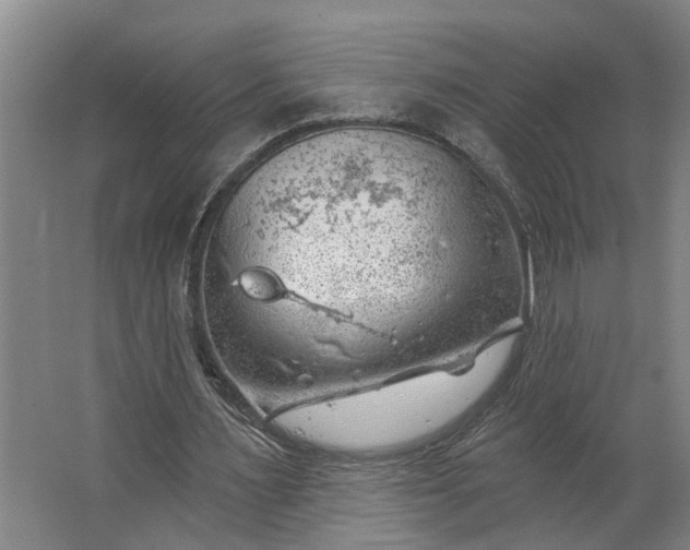 X0000062910483200601271743