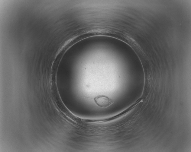 X0000062910484200601271743