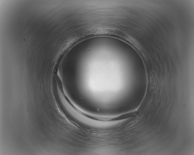 X0000062910485200601271743