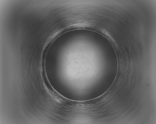 X0000062910486200601271743