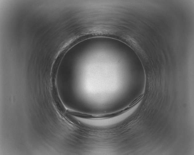 X0000062910488200601271743