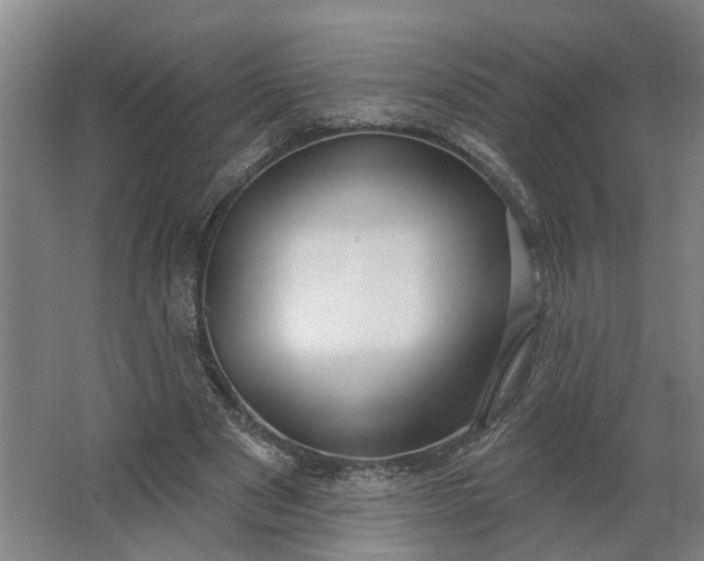 X0000062910489200601271743