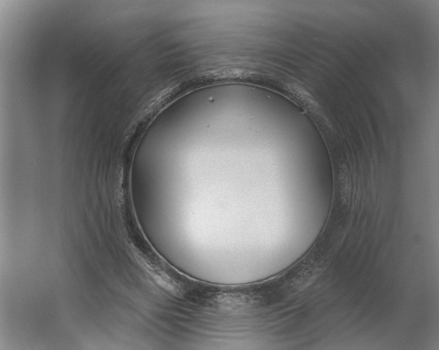 X0000062910490200601271743