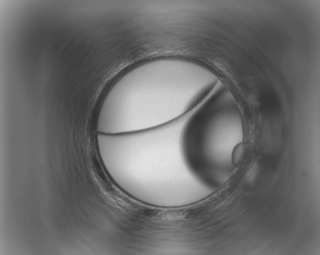 X0000062910491200601271743