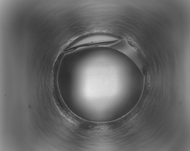 X0000062910492200601271743