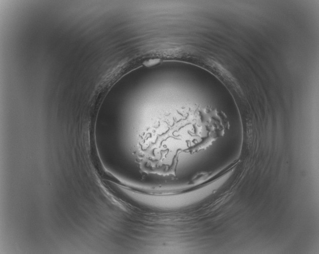 X0000062910493200601271743