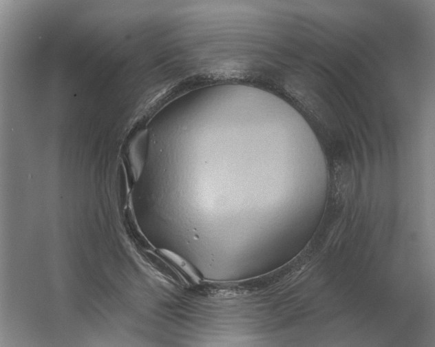 X0000062910494200601271743