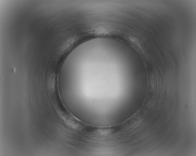 X0000062910495200601271743