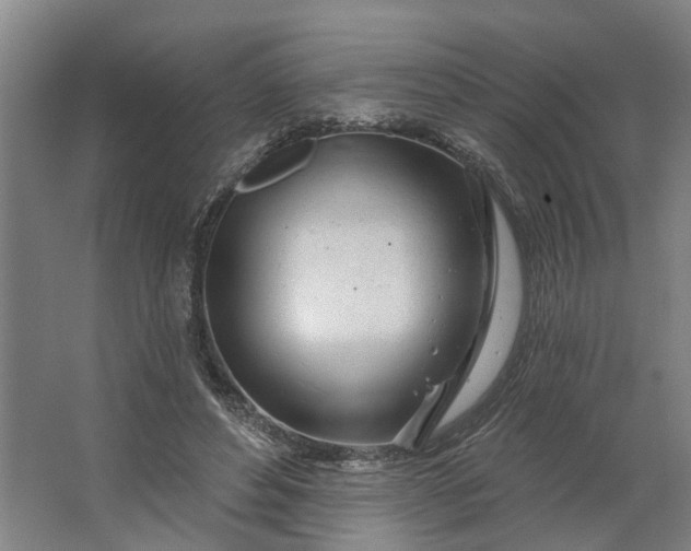 X0000062910496200601271743