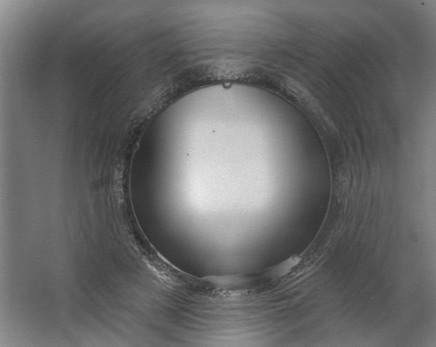 X0000062910497200601271743