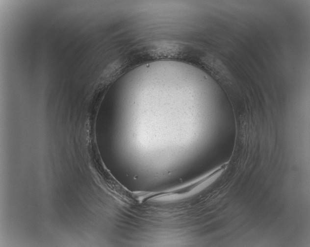 X0000062910498200601271743