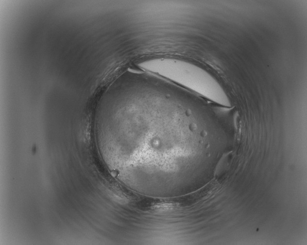 X0000062910499200601271743