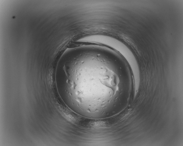 X0000062910501200601271743