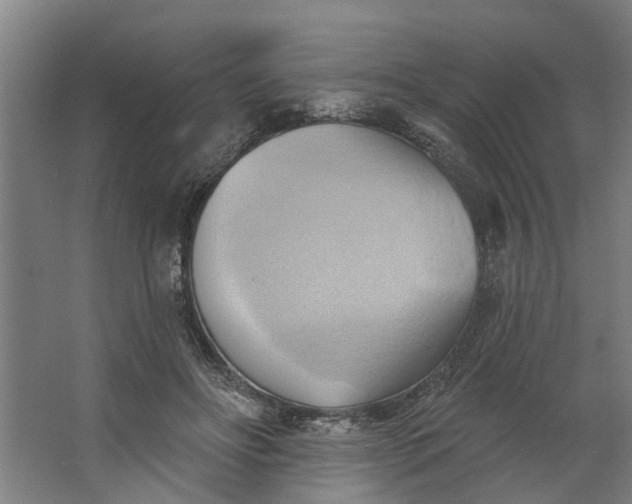 X0000062910502200601271743