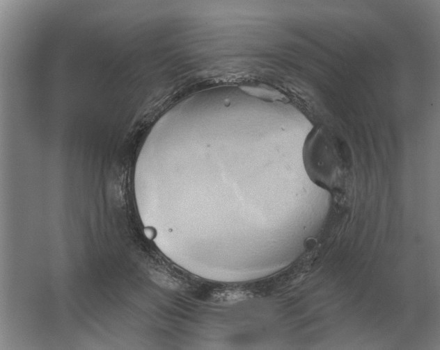 X0000062910503200601271743