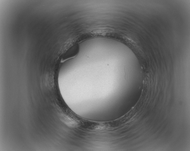 X0000062910504200601271743