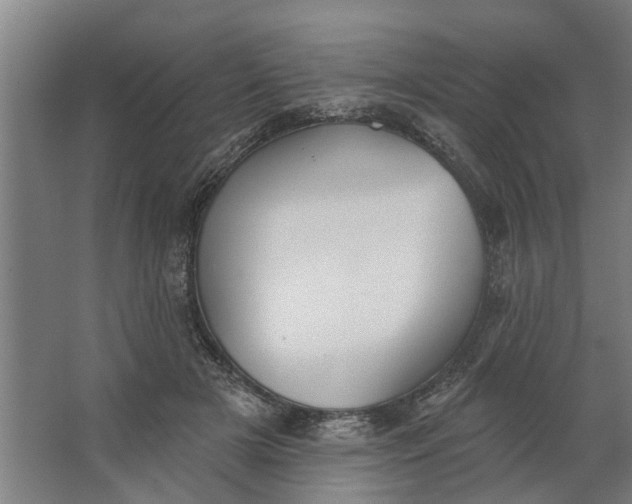 X0000062910505200601271743