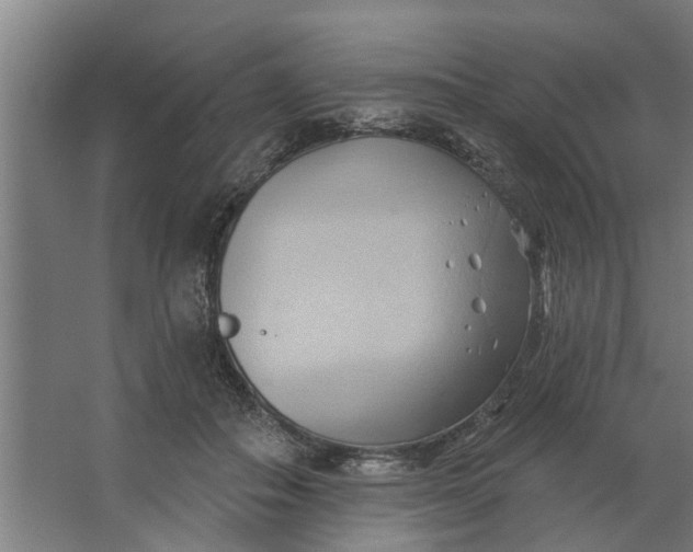 X0000062910506200601271743