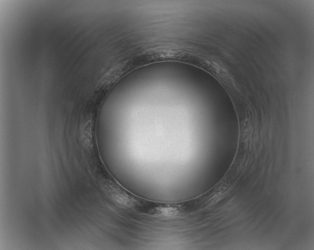 X0000062910509200601271743