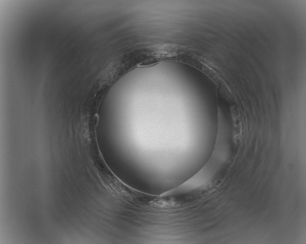 X0000062910512200601271743