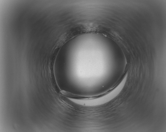 X0000062910516200601271743