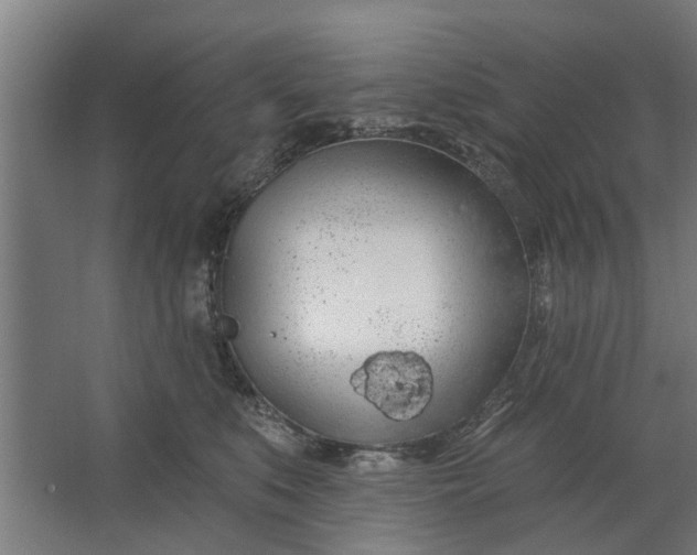 X0000062910519200601271743