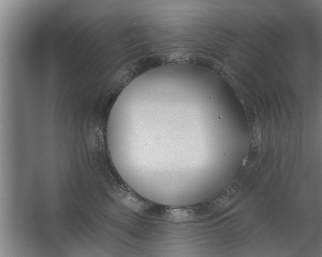 X0000062910522200601271743