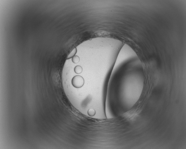 X0000062910523200601271743