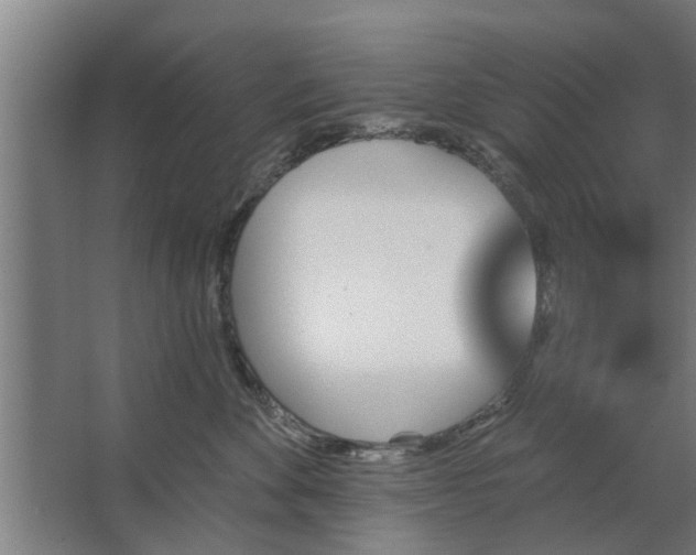 X0000062910524200601271743