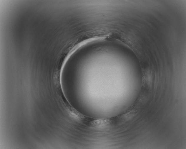 X0000062910526200601271743