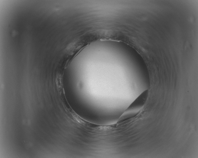 X0000062910528200601271742