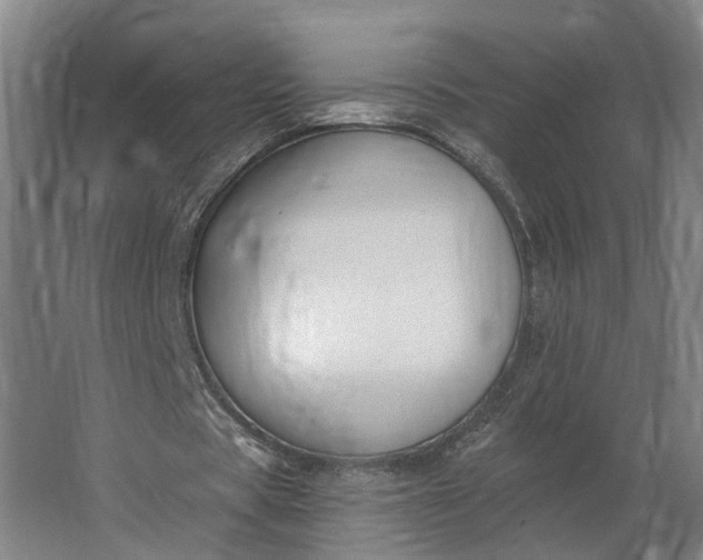 X0000062910529200601271742