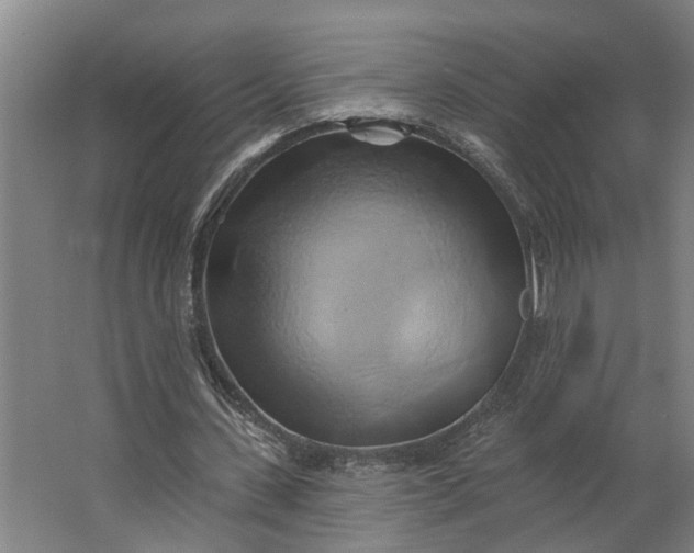 X0000062910531200601271742