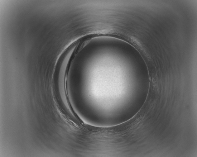 X0000062910532200601271742