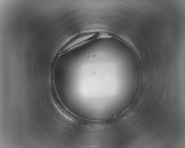 X0000062910533200601271742