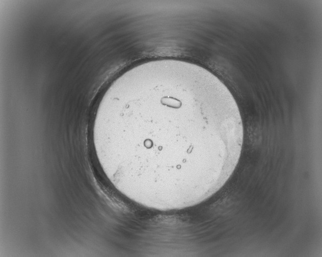 X0000062910534200601271742