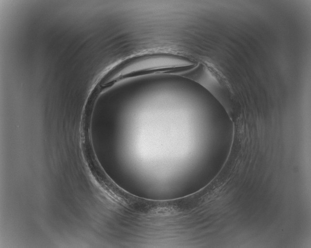 X0000062910536200601271742