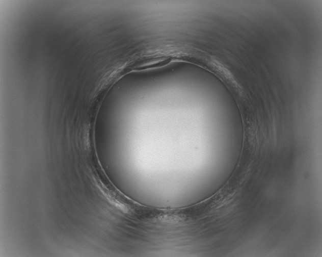 X0000062910537200601271742