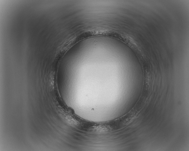 X0000062910545200601271742