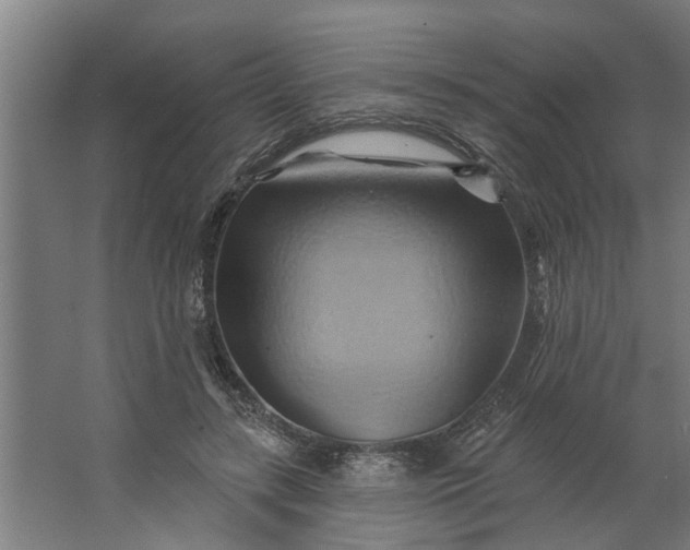 X0000062910547200601271742