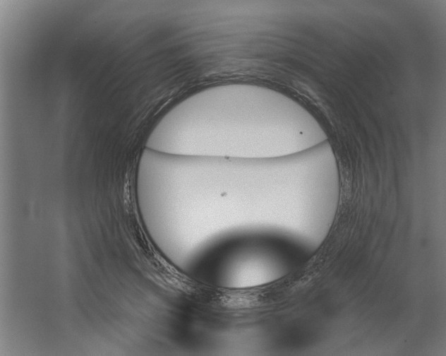 X0000062910549200601271742