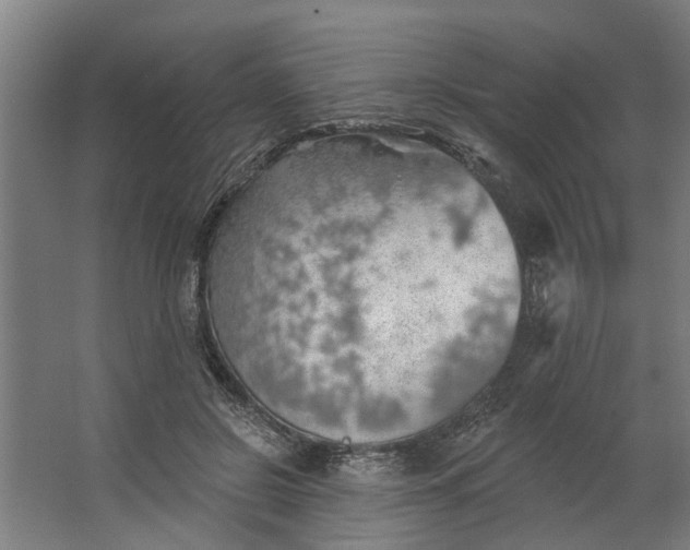 X0000062910550200601271742