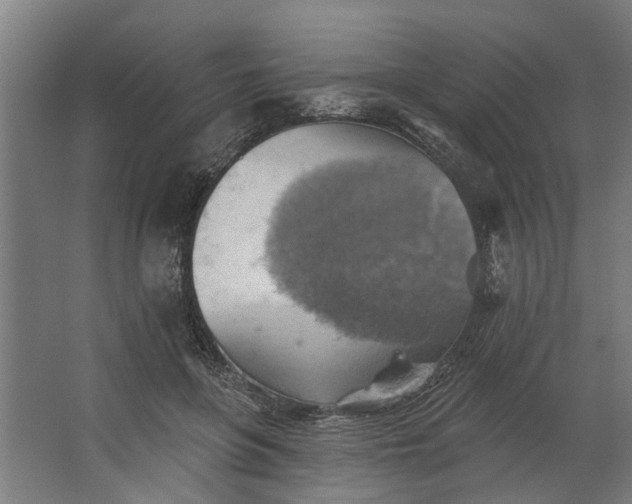 X0000062910551200601271742