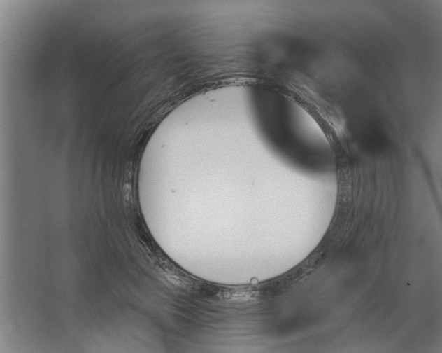 X0000062910553200601271742