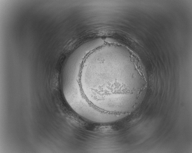 X0000062910554200601271742