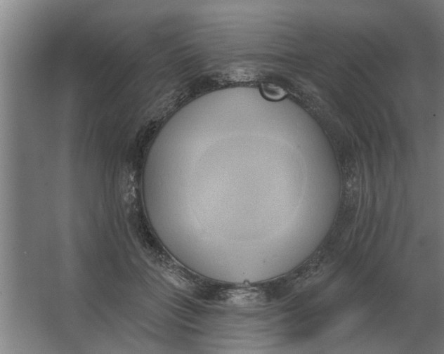 X0000062910555200601271742